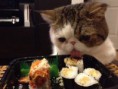 /album/fotogalerie/meeow-jpg1/